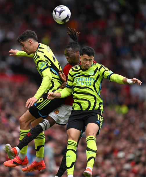 丰富的野生 丰富的野生