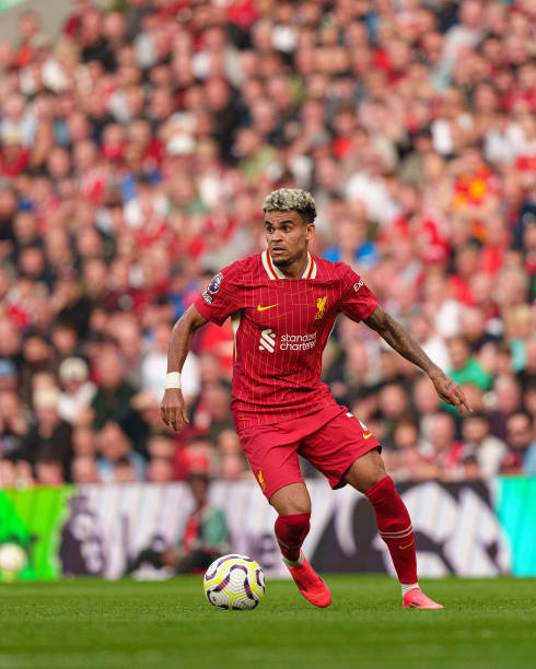 而导致投资 而导致投资