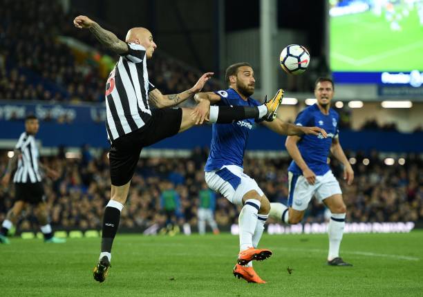 大多数球迷 大多数球迷